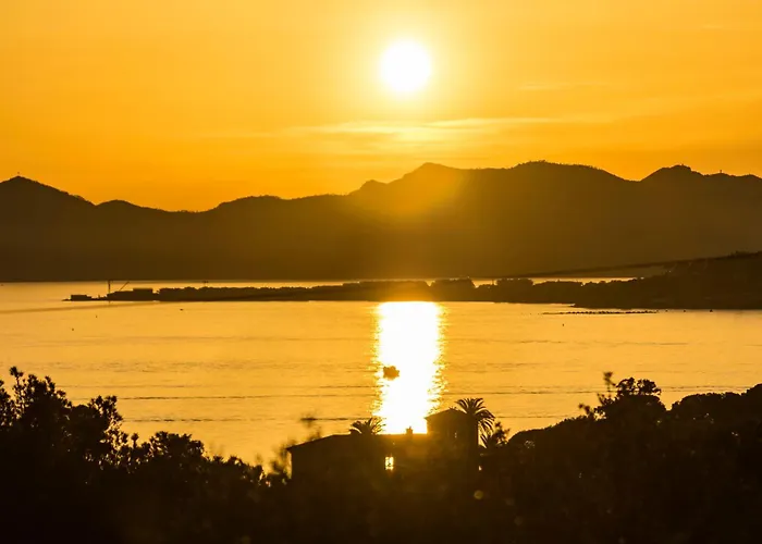 Le Petit Juanais - Parking Prive